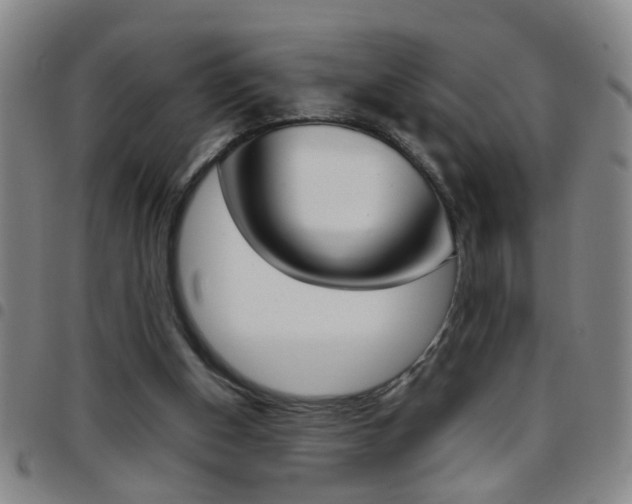 X0000097820154200803140813