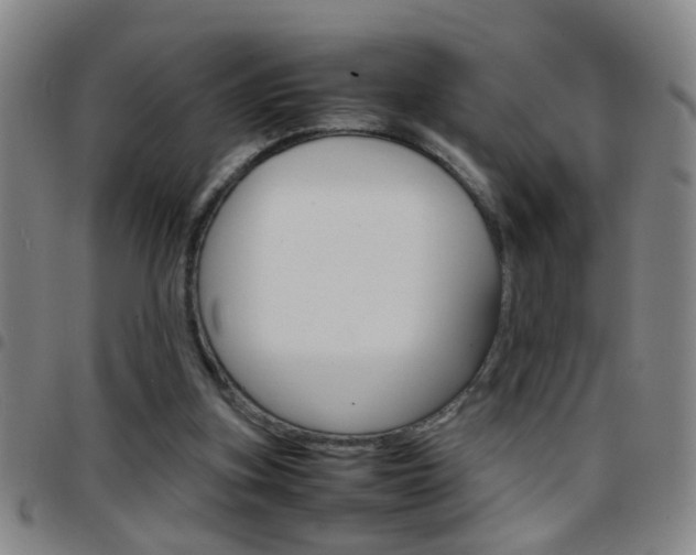 X0000097820155200803140814