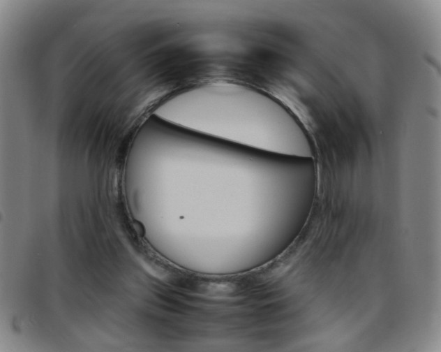 X0000097820157200803140814