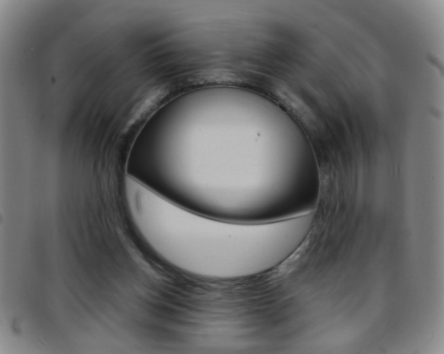 X0000097820158200803140814