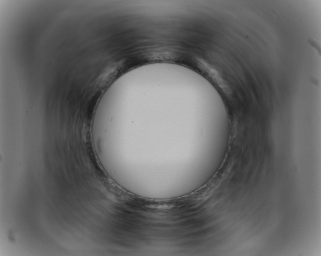 X0000097820161200803140814