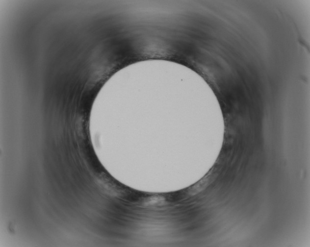 X0000097820162200803140814