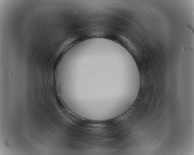 X0000097820163200803140814