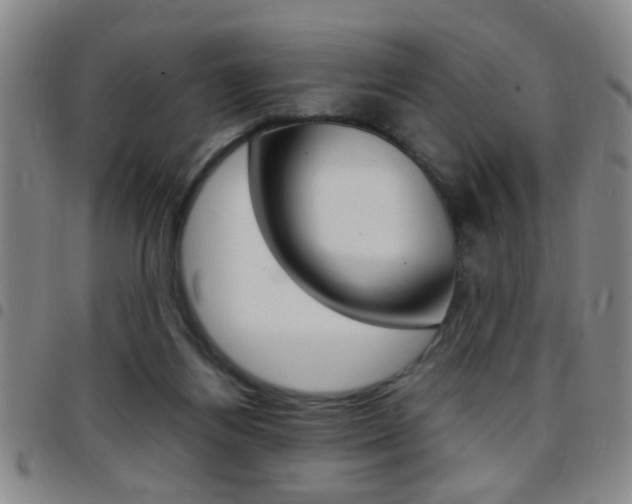 X0000097820164200803140814