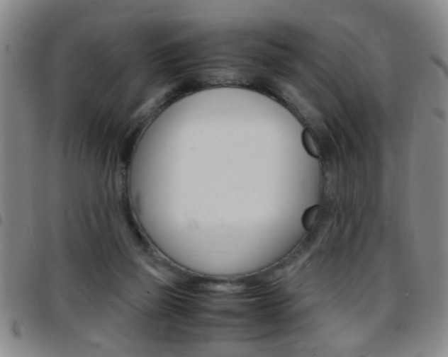 X0000097820165200803140814