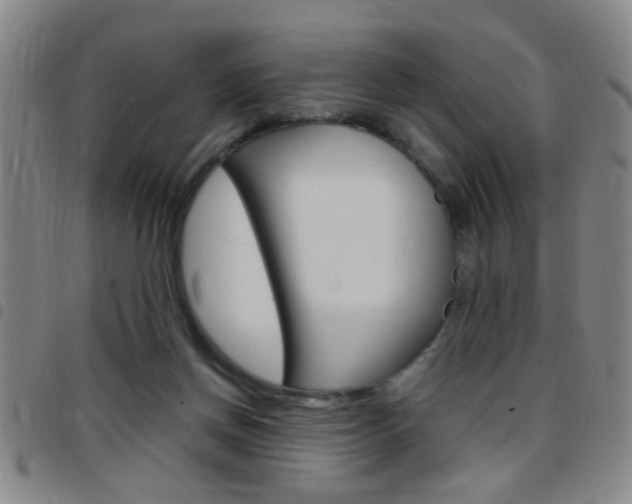 X0000097820166200803140814