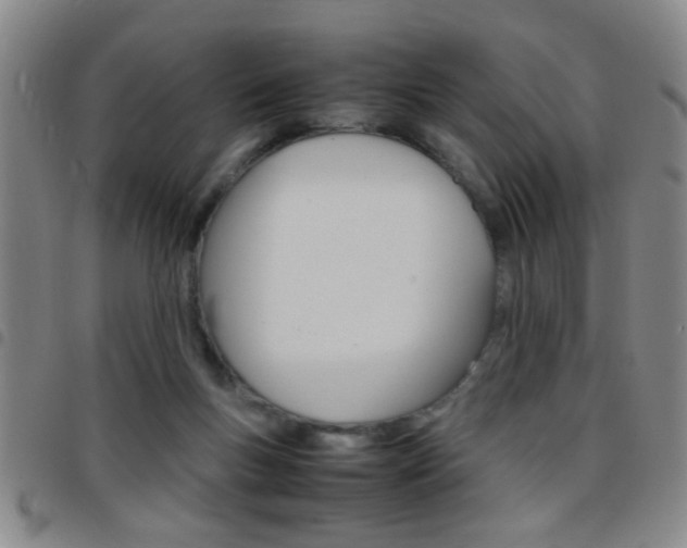 X0000097820167200803140814