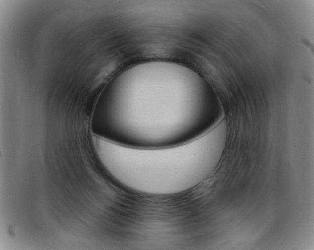 X0000097820168200803140814