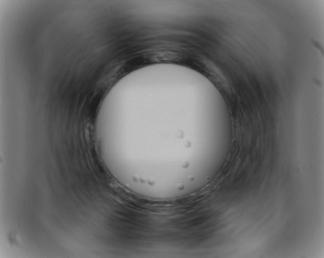 X0000097820169200803140814