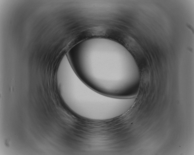 X0000097820172200803140814