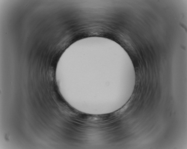 X0000097820174200803140814