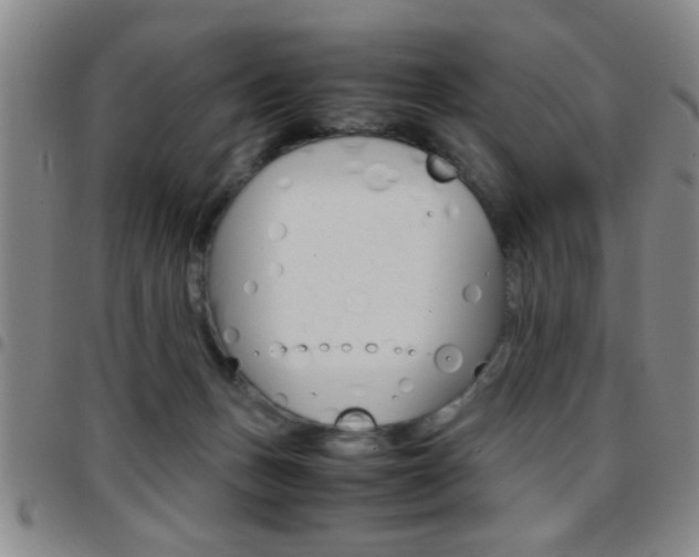 X0000097820175200803140814