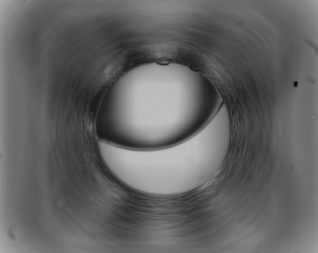 X0000097820176200803140814