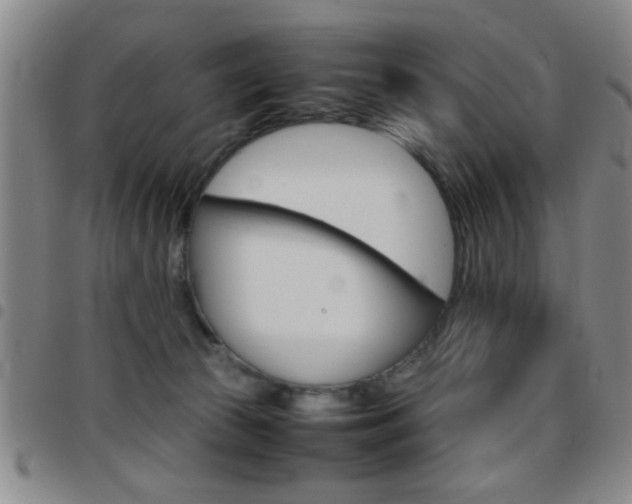 X0000097820177200803140814