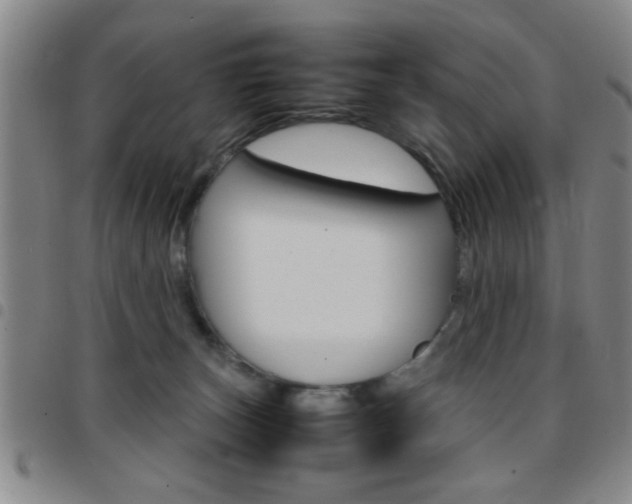 X0000097820179200803140814