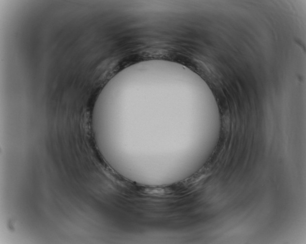 X0000097820181200803140814