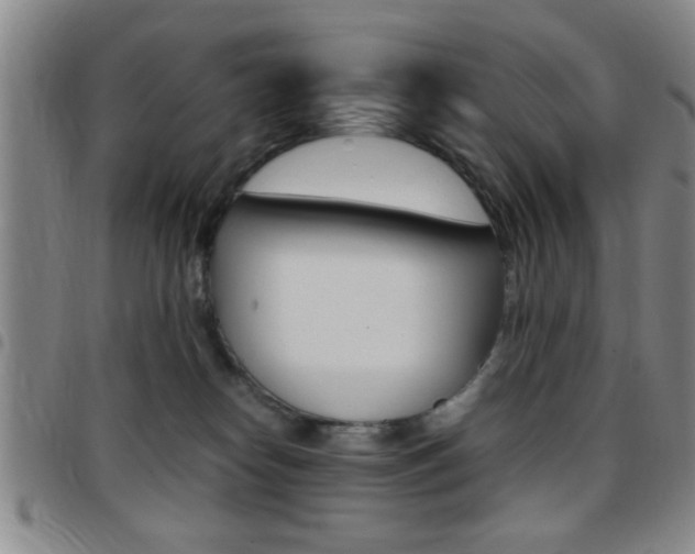 X0000097820182200803140814