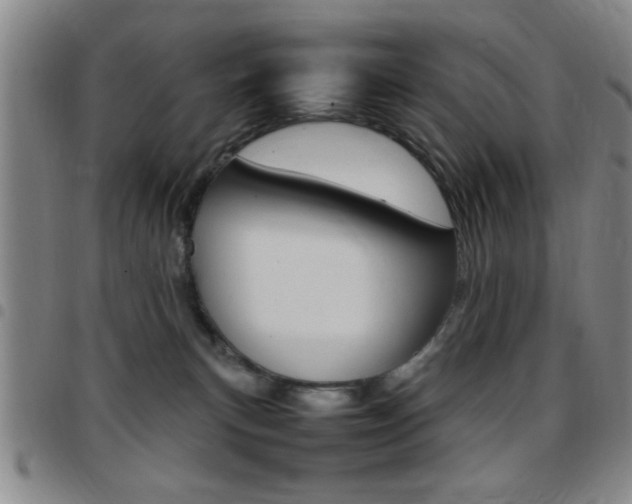 X0000097820183200803140814