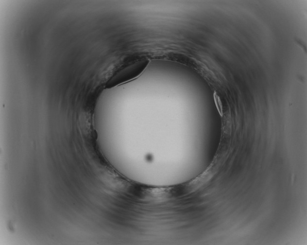 X0000097820184200803140814