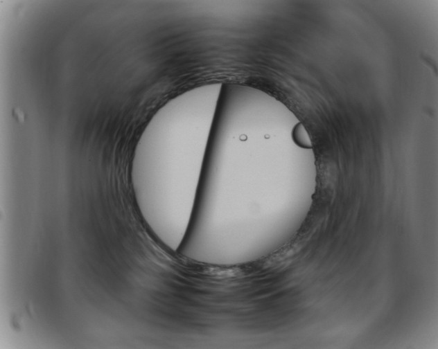 X0000097820185200803140814