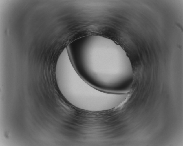 X0000097820186200803140814