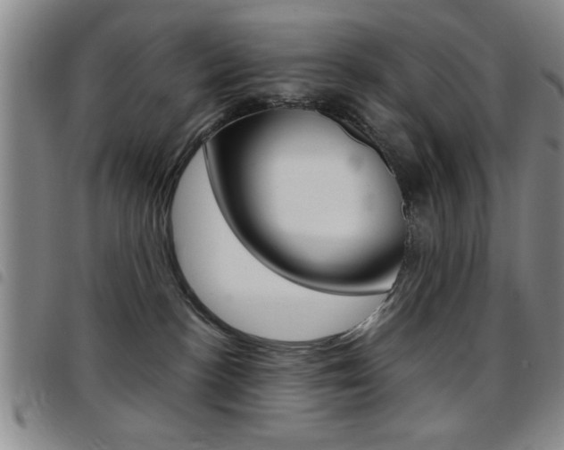 X0000097820188200803140814