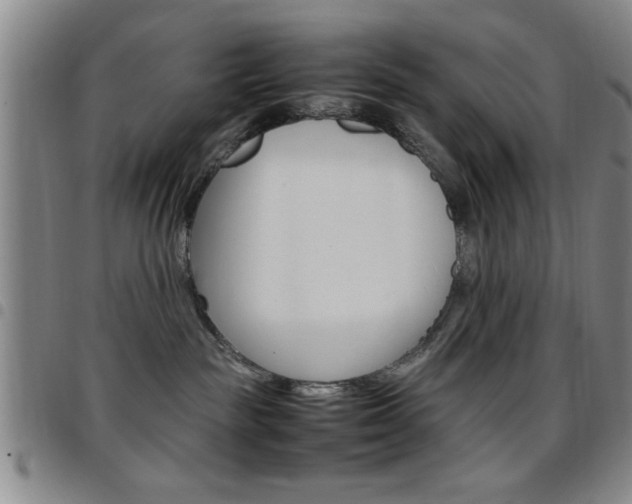 X0000097820189200803140814