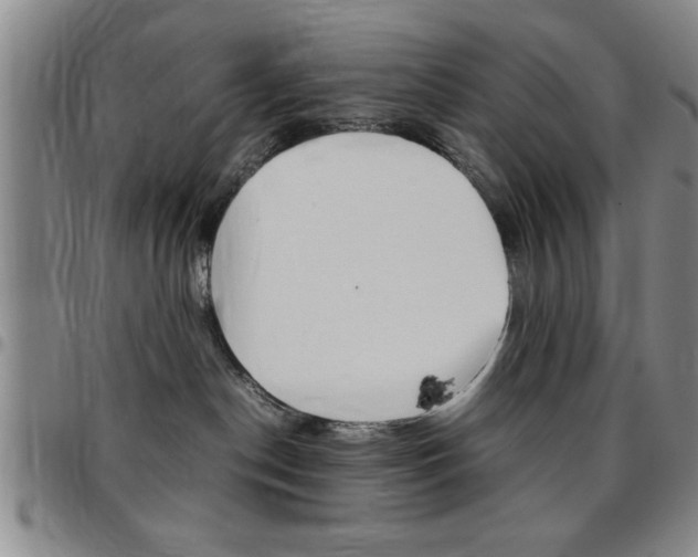 X0000097820190200803140814