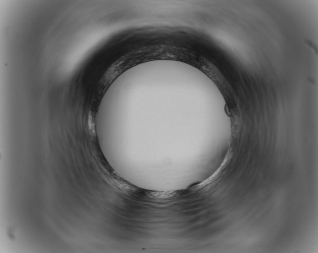 X0000097820191200803140814