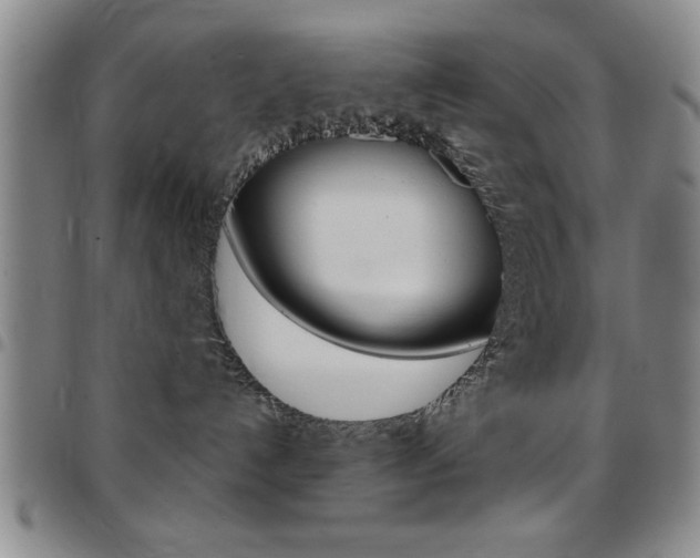 X0000097820192200803140814