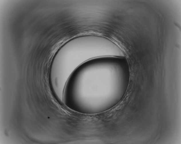 X0000097820193200803140813