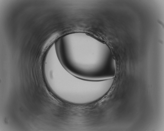 X0000097820197200803140813