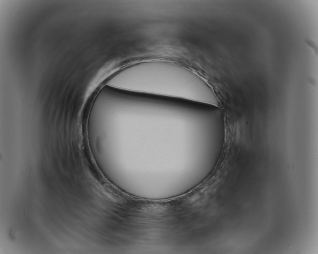 X0000097820198200803140813