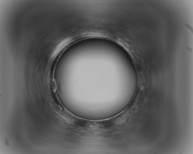 X0000097820199200803140813