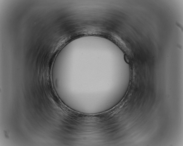 X0000097820202200803140813