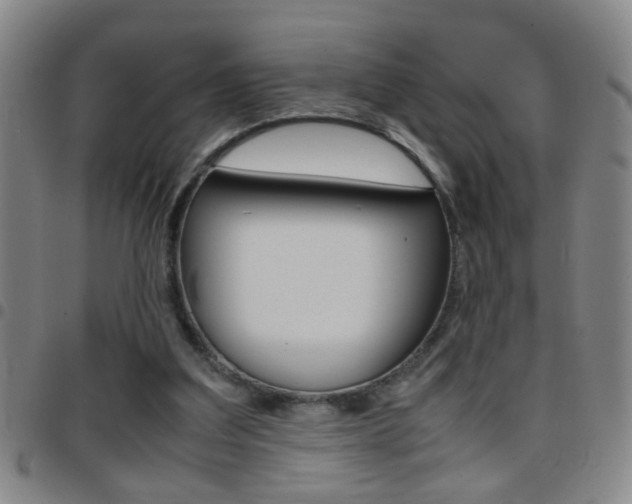 X0000097820203200803140813