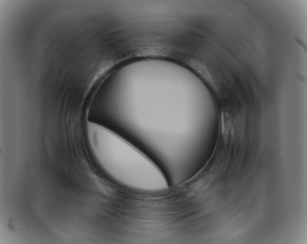 X0000097820204200803140813