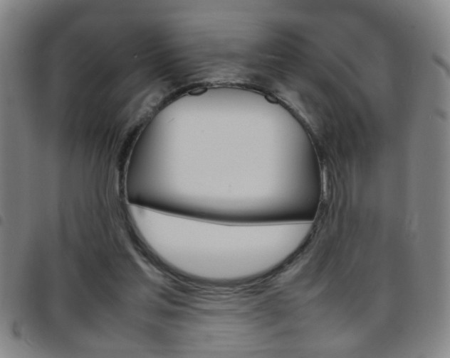 X0000097820205200803140813