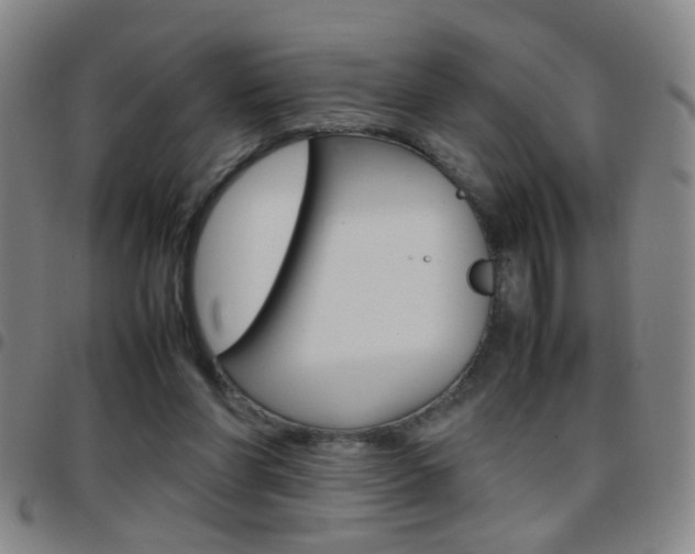 X0000097820206200803140813