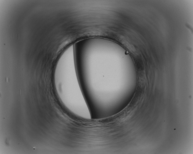 X0000097820207200803140813