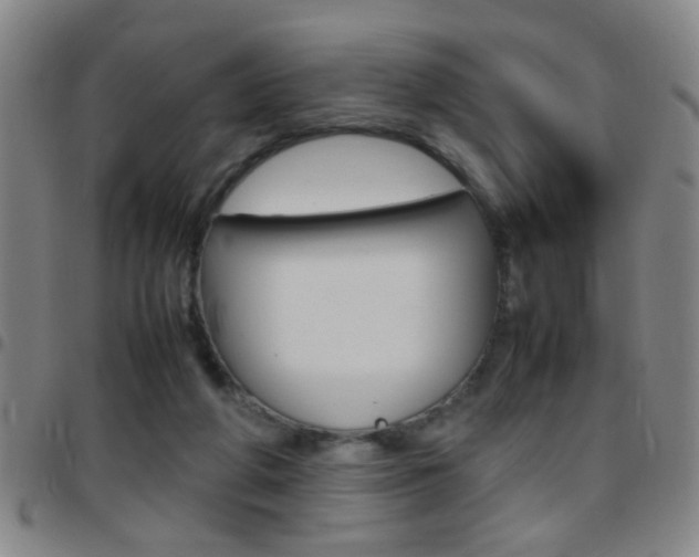 X0000097820210200803140813