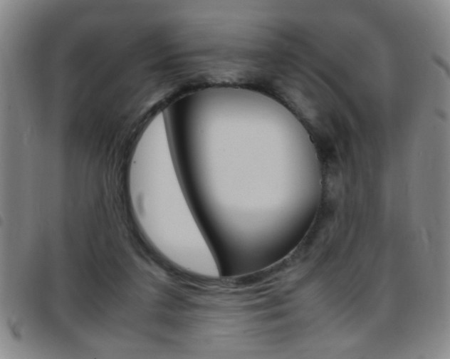 X0000097820211200803140813