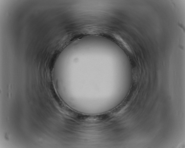 X0000097820213200803140813