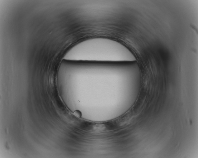 X0000097820214200803140813