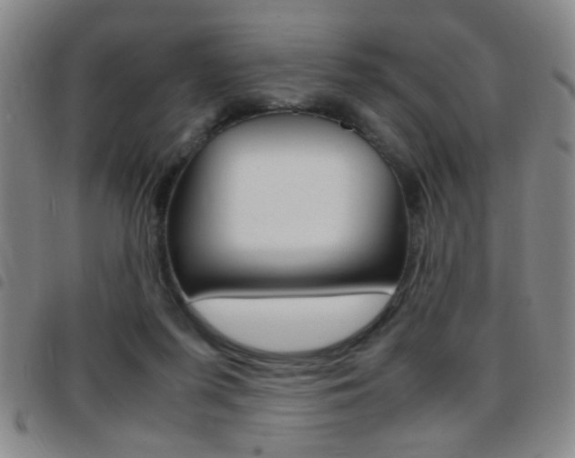 X0000097820215200803140813