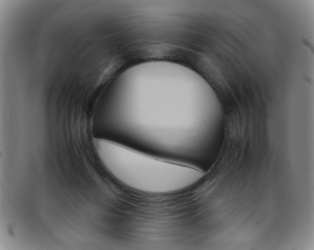 X0000097820216200803140813