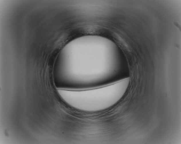 X0000097820217200803140813