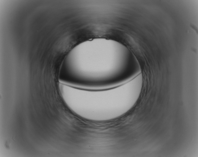 X0000097820221200803140813