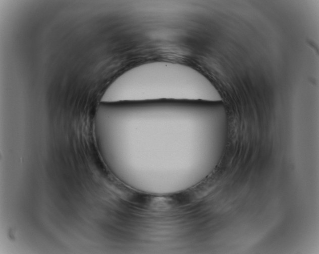 X0000097820222200803140813