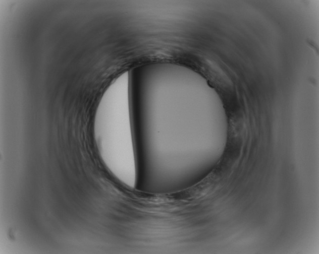 X0000097820223200803140813